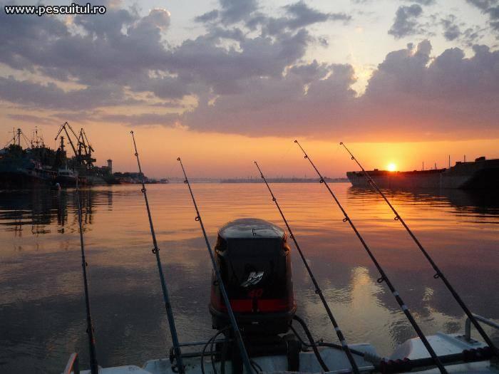 Nice :) - loadfoto.jpg